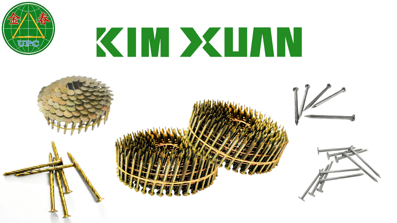 ĐInh Kim Xuân