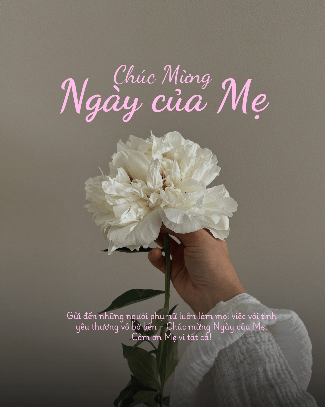 Ngày của Mẹ 2026 - Kim Xuân